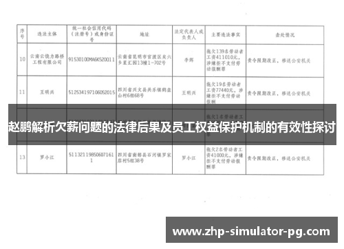 赵鹏解析欠薪问题的法律后果及员工权益保护机制的有效性探讨