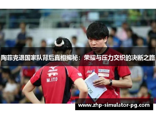 陶菲克退国家队背后真相揭秘:荣耀与压力交织的决断之路 陶菲克退国家队背后真相揭秘:荣耀与压力交织的决断之路