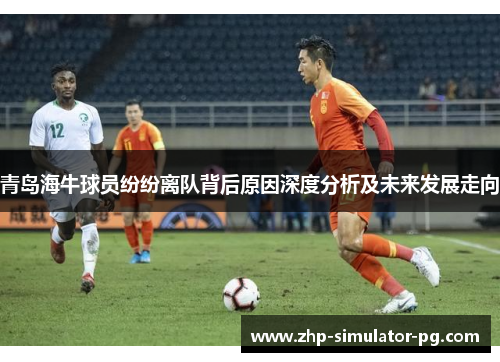 青岛海牛球员纷纷离队背后原因深度分析及未来发展走向